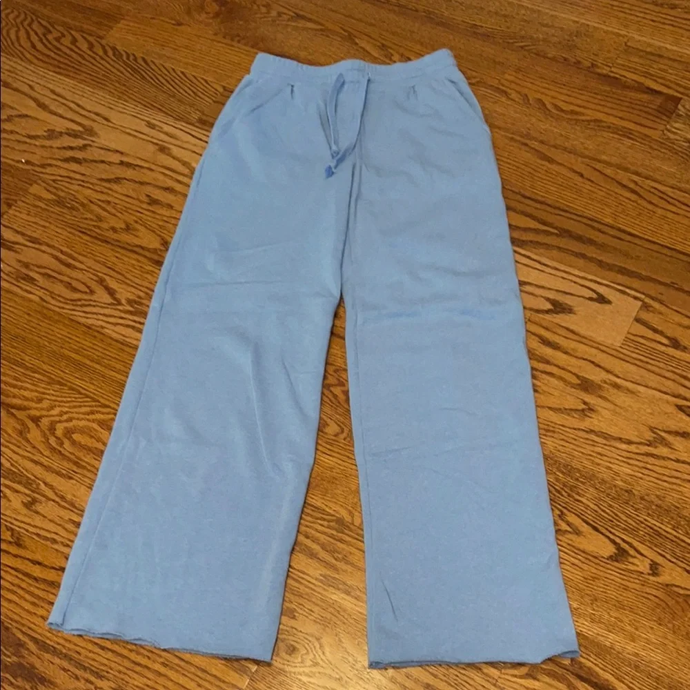 American Eagle Outfitters Blue Joggers Relaxed Fit - Picture 1 of 3